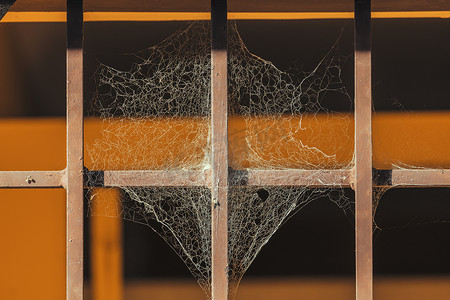 钢门上一张大蜘蛛网的照片