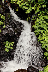 雨中热带野外的小瀑布