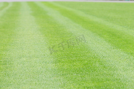 足球草坪图案摄影照片_足球场的绿色草坪