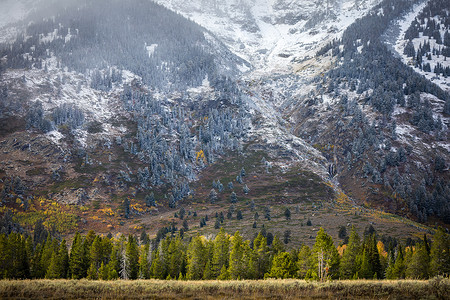 白雪皑皑的森林摄影照片_初冬的黄石雪山。