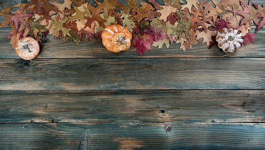 感恩节假期背景下，质朴的蓝色木板上褪色秋叶的顶部边界