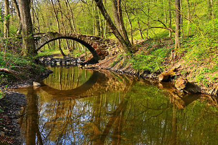 美丽的老桥在树林里的一条小溪上。