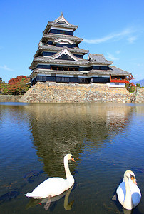 日本松本城与两只天鹅