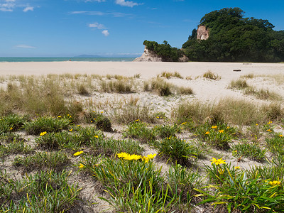 风景秀丽的科罗曼德尔半岛 NZ 海岸线海景