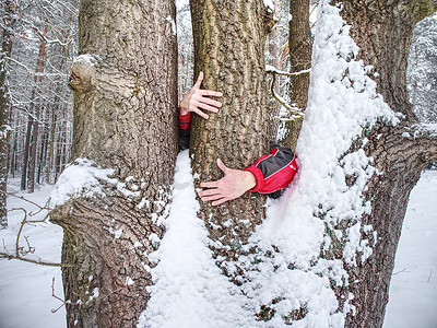 冻脚摄影照片_男性手握住树干的树皮。
