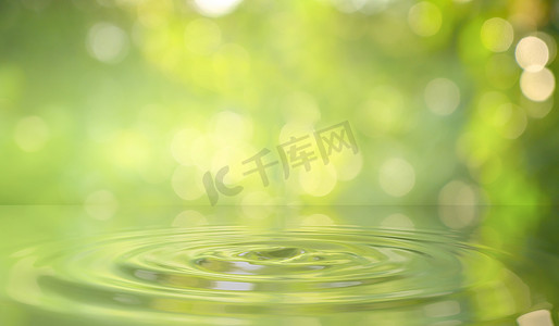 自然界中的绿色摄影照片_自然界中的绿色水滴背景