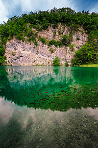“国家十六湖绿松石透明水中的鱼”
