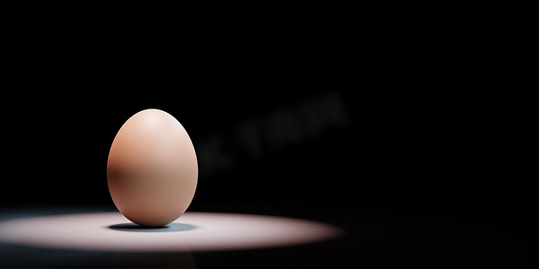 黑色光亮摄影照片_一只母鸡的蛋聚焦在黑色背景上