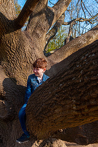 一个穿着蓝色牛仔裤的男孩爬上一棵光秃秃的树