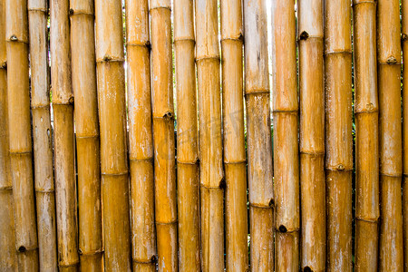 竹子天然砍伐墙面装饰的质感