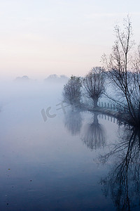 中柳树摄影照片_荷兰布尼克 Kromme Rijn 河岸清晨薄雾中的 Pollard 柳树