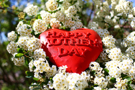 雪莓丛中一颗红心，上面写着母亲节快乐