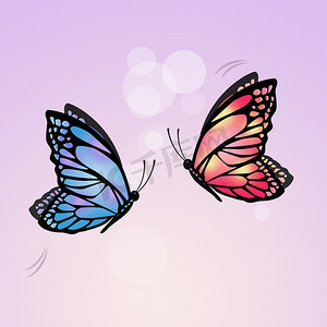 可爱昆虫插画摄影照片_飞舞的蝴蝶插画