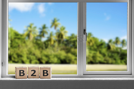 B2B 在一个有棕榈树的热带岛屿的窗户上签到