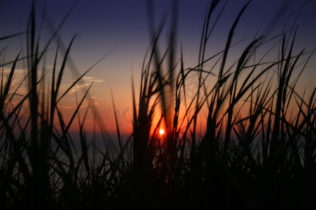 沙滩上的夕阳草海