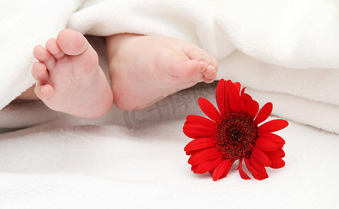前景中有一朵花的婴儿脚