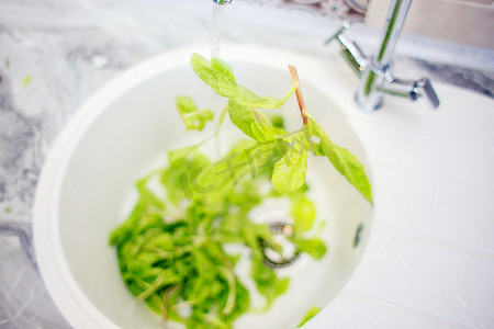 在水槽的家庭厨房里清洗绿色沙拉叶的过程。