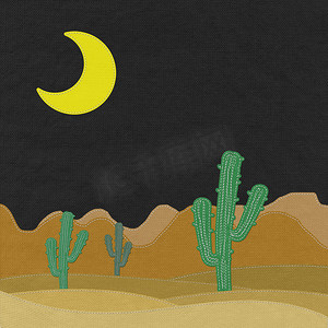 沙漠中的仙人掌，织物背景上有针法