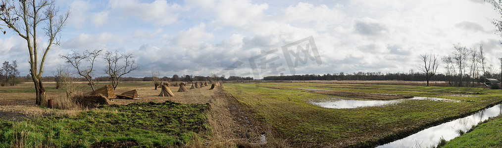 荷兰 Dwarsgracht Giethoorn 附近的草原全景