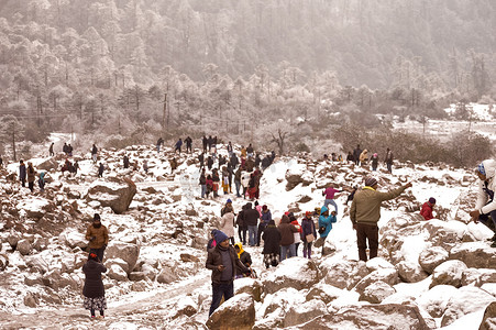 锡金零点西孟加拉邦 2018 年 11 月-游客前往户外玩耍，享受降雪后的第一场雪，在 Yumthang 山谷带来季节性魅力，为游客带来激动人心的体验。