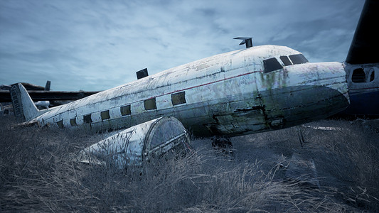 生锈和破损的飞机矗立在朦胧的蓝天映衬下的田野中。