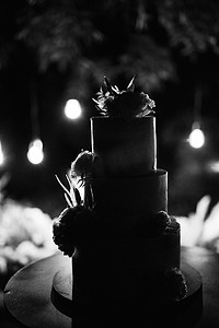 新婚夫妇婚礼上的结婚蛋糕
