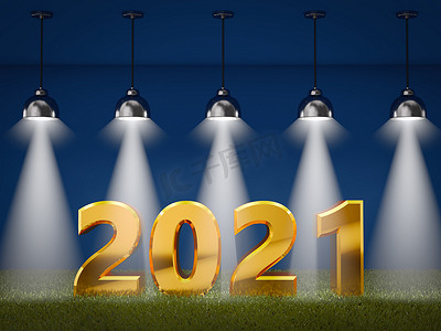 2021 在聚光灯下的草地上