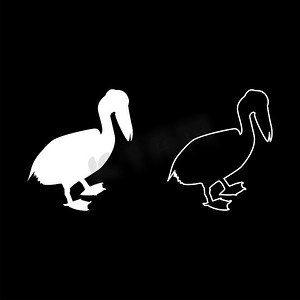 鹈鹕鸟海鸟水鸟剪影白色矢量插图固体轮廓样式图像