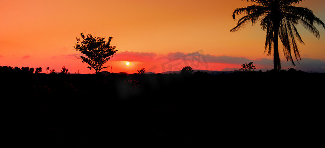 动态背景城市摄影照片_全景视图剪影椰子树在日落在天空美丽的五颜六色的风景和城市乡村黄昏时间的自然艺术