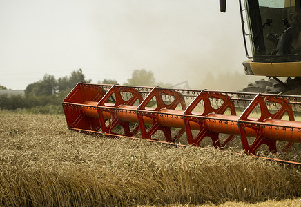 联合收割机农业机械收割金黄成熟的麦田。