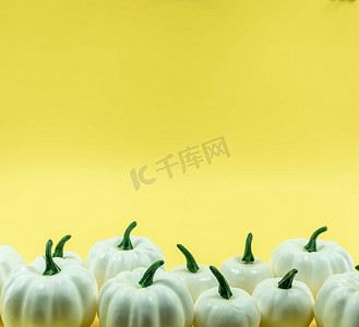边框黄色背景摄影照片_黄色背景上的白色南瓜、葫芦和秋季装饰的秋底边框横幅，带复制空间