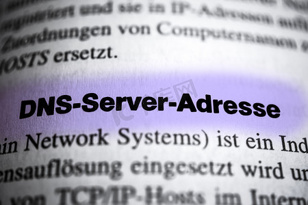 DNS 服务器地址