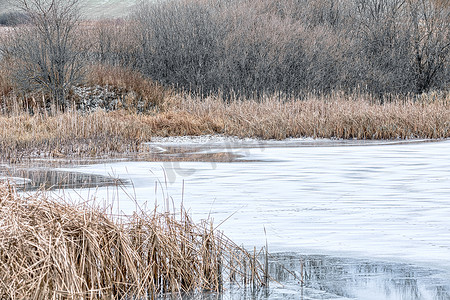 乡村池塘摄影照片_美丽的冬季乡村景观与池塘