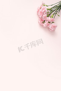 粉红色桌背景康乃馨花束母亲节节日问候的设计理念