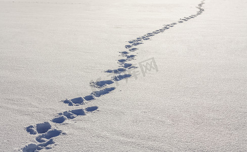 雪地上的脚步