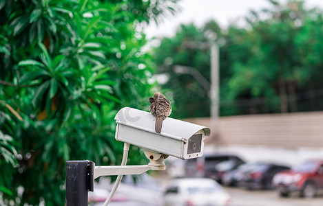 安装在停车场的闭路电视摄像机以保护安全