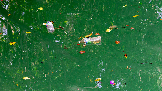 漂浮在污染水域的河流上的瓶装水