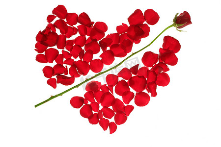 丘比特摄影照片_在一个红色玫瑰花瓣心脏形状的丘比特箭头