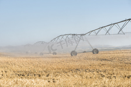 农业喷雾器摄影照片_在领域的灌溉喷雾器