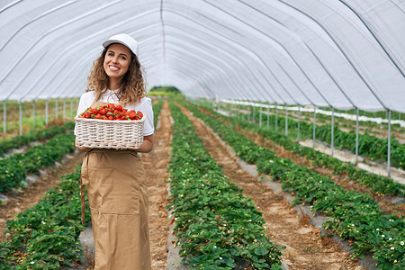 女性戴着白色的帽子和围裙采摘草莓。