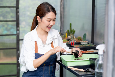 美丽的亚洲女孩用工具在家乡的温室里种植仙人掌，心情愉快。