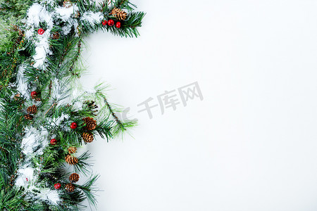 纯白左侧积雪的圣诞树枝