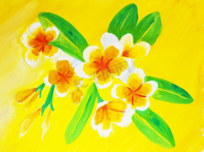 水彩手绘彩色花朵