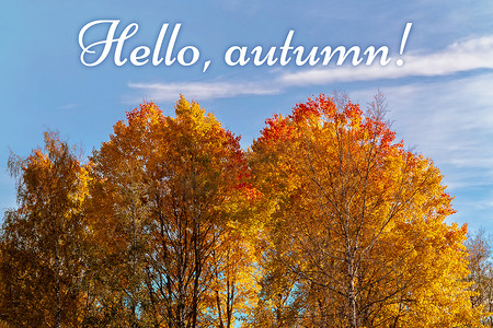 你好模板摄影照片_秋天的风景 — 蓝天映衬着黄橙树的树顶，上面写着“你好，秋天” — 图片