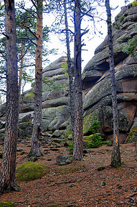 Stolby 自然保护区，几千年来水和风将石头加工成奇形怪状的形状。