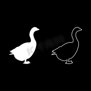 矢量篆刻印章(实用)摄影照片_鹅 Gosling 鹅 Anser Gander 剪影白色矢量插图实体轮廓样式图像