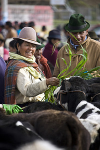 南美人摄影照片_Saquisili 牲畜市场 - 厄瓜多尔