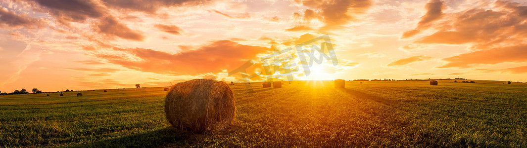 夏天或初秋的傍晚，田野里的日落，背景是多云的天空。