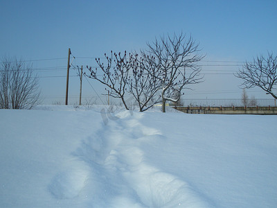 雪地里的足迹