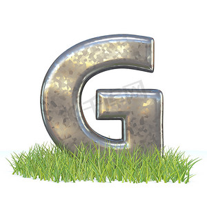 镀锌金属字体 Letter G in grass 3d